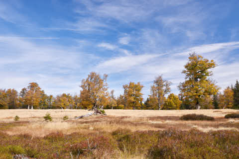 Gemeinde Lindberg Landkreis Regen Kohlschachten Schachtenwanderung (Dirschl Johann) Deutschland REG